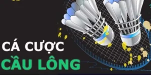 Bí Quyết Thắng Cá Cược Cầu Lông Trên 2Bong88 Hiệu Quả